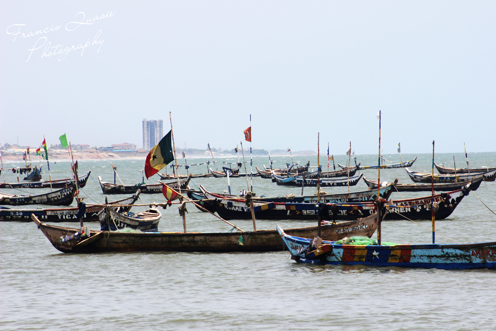 Govt Announces May 15 To June 15 As Closed Season For Fishing