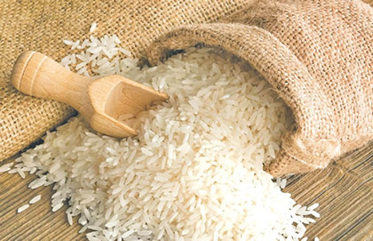 Ghana Government And Zoomlion To Produce Local Rice