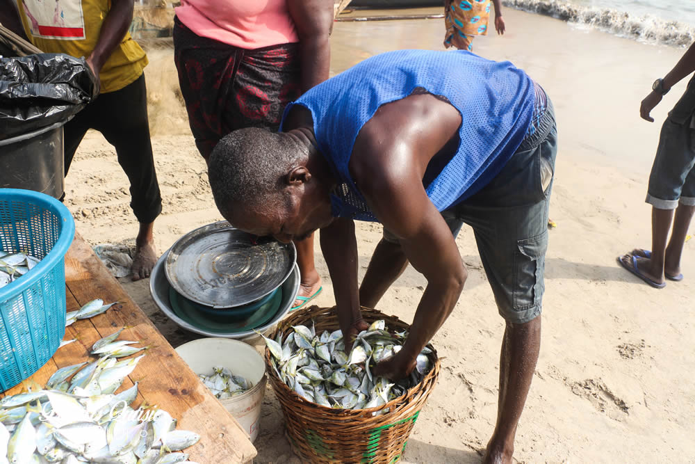 Regulate illegal Fishing – Fish Processors Tell Government