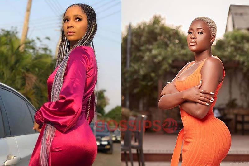 Sister Derby Tells Why She Vowed Never To Make Fella Makafui Her Friend