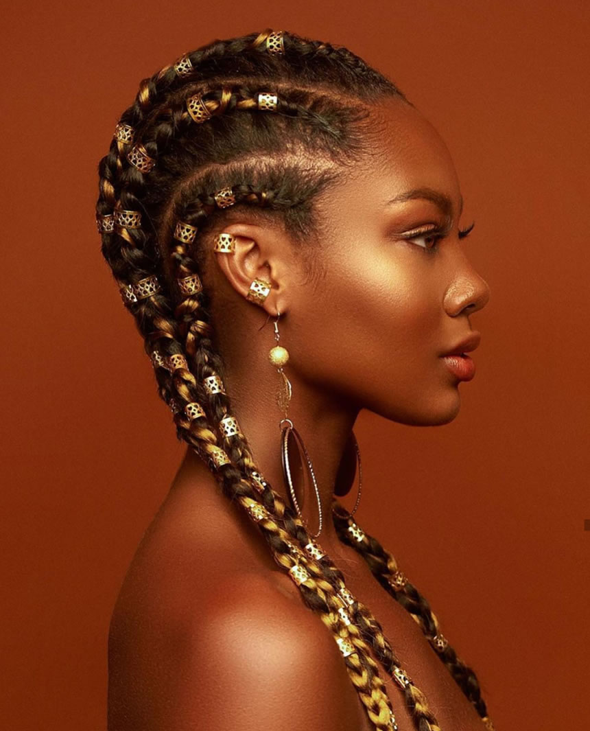 Fabulous Headshots Shows How Braids Is The Ultimate Black Hairdo ...