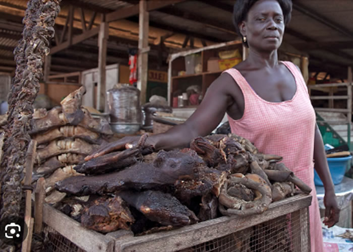 Wildlife officers seize bush meat