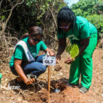 Archiving History Of Ghana: Case Study Of Forts And Castles