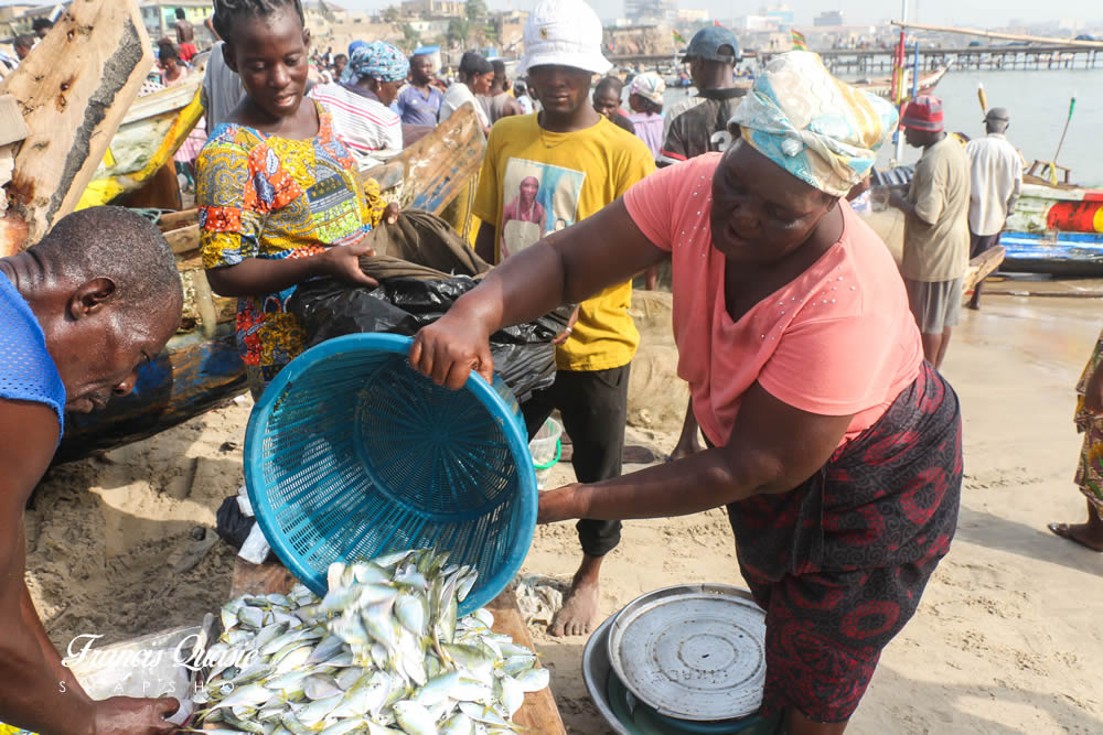 Ghana’s 2025 Fisheries Reforms: Community efforts bring Volta’s fish back