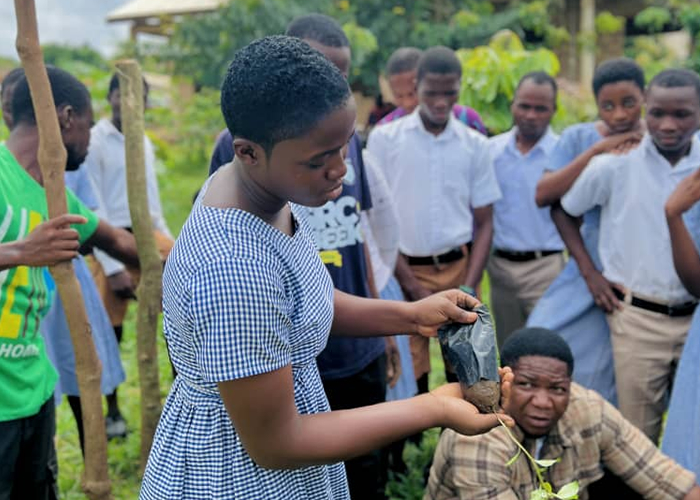 University of Energy and Natural Resources, partners re-green SHSs to mitigate climate change impacts