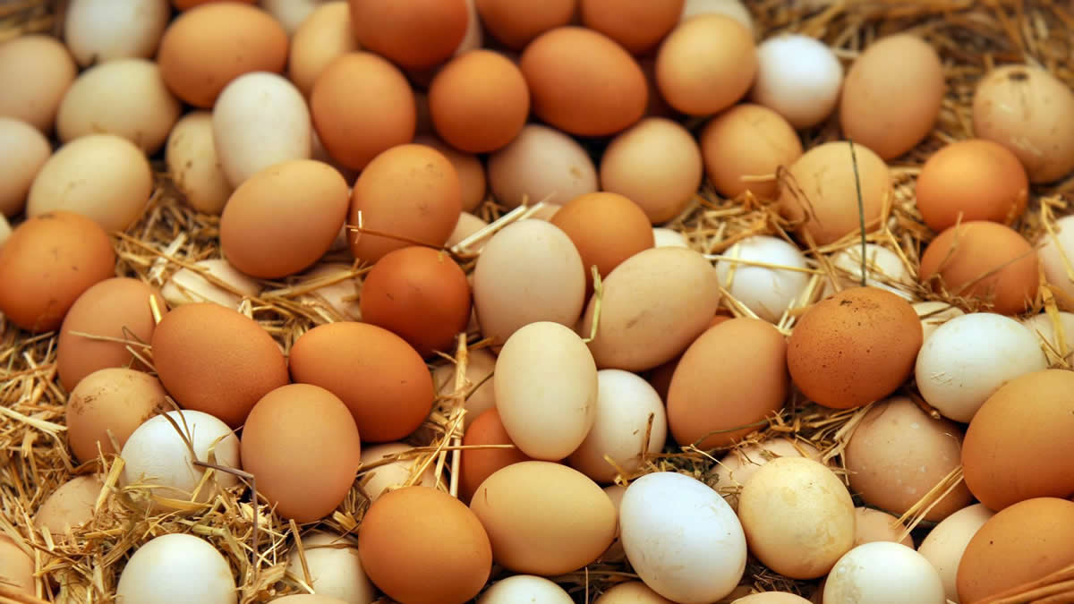 Ghana egg suppliers demand action over Burkina Faso export ban