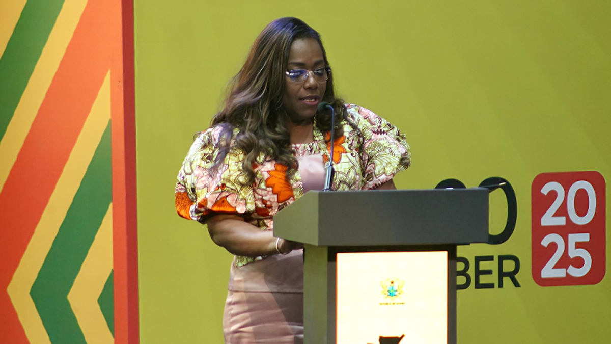 Nana Oye urges structured diaspora engagement as Ghana pushes 24-hour economy, export-led growth