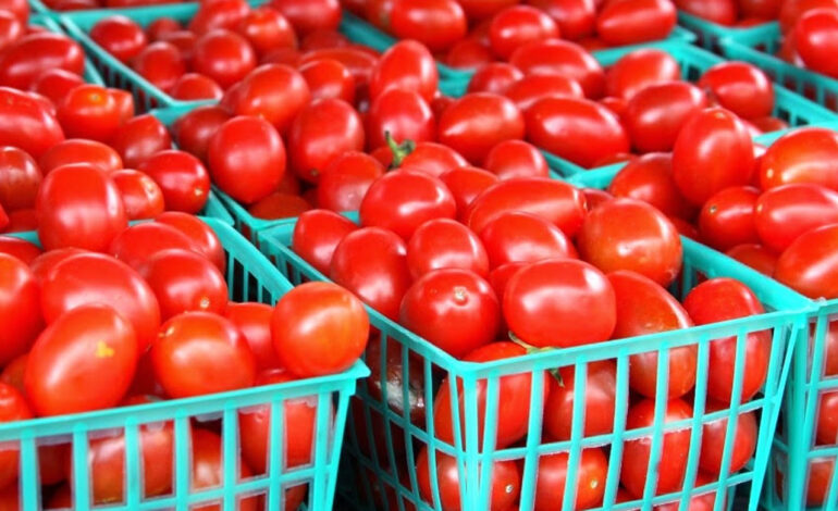 Imports from neighbouring Burkina Faso collapsing local tomato production – Growers