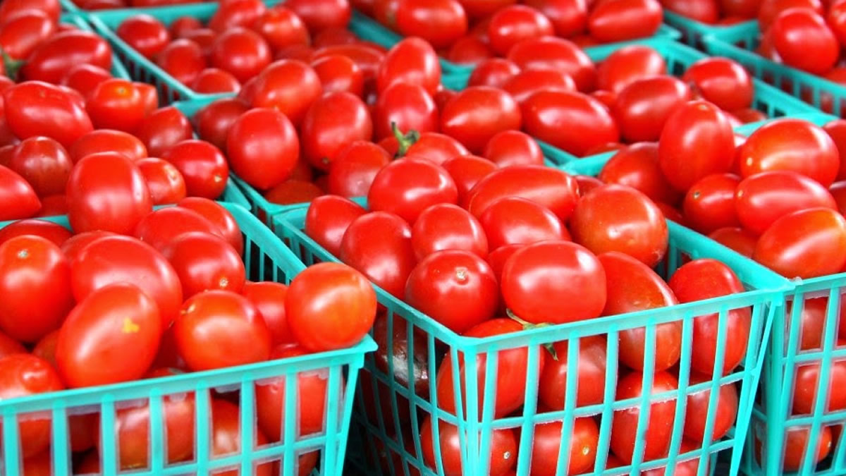 Imports from neighbouring Burkina Faso collapsing local tomato production – Growers