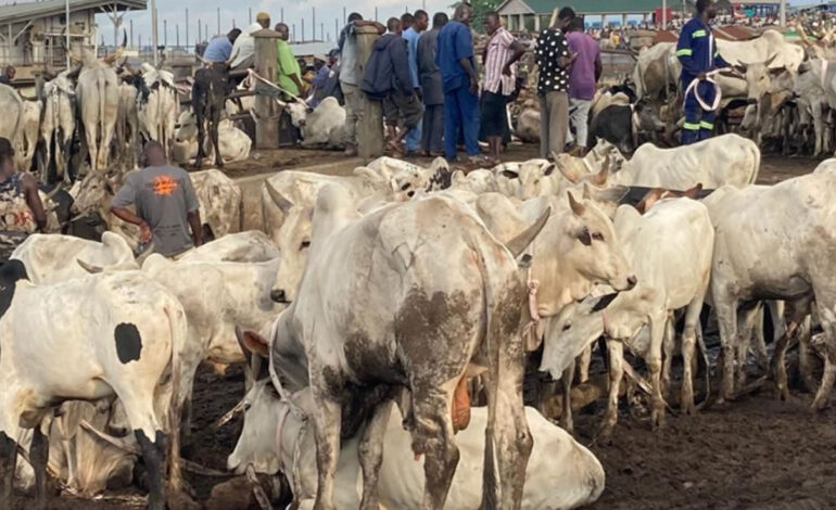 24-Hour Livestock Market launched to drive economic growth 