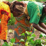Health officials worry about continued increase in HIV infections in Ashanti region