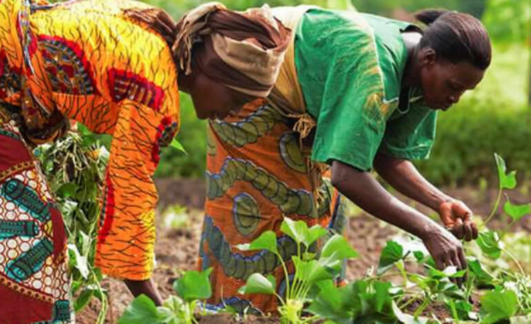 Women farmers urge government to boost agricultural productivity through financial support