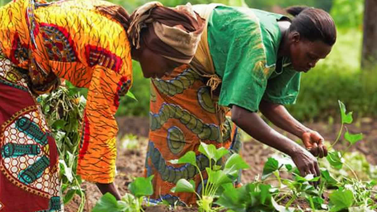 Women farmers urge government to boost agricultural productivity through financial support