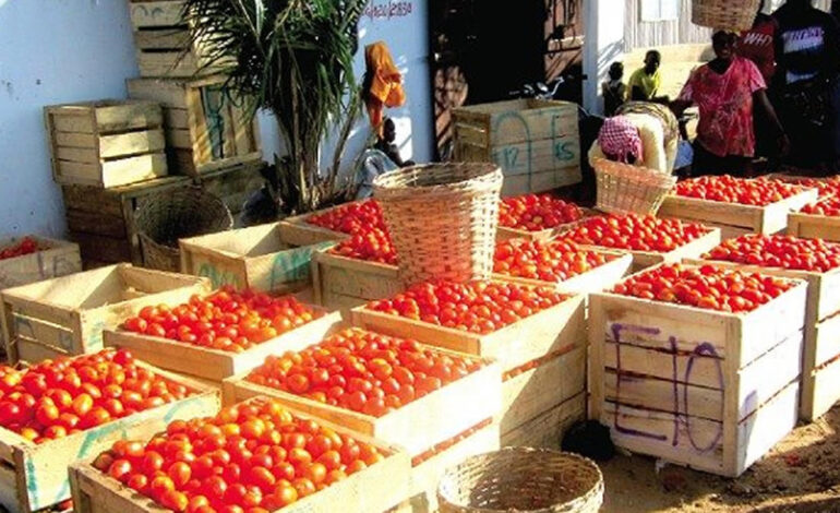 Tomato traders boycott Burkina Faso travels over security concerns