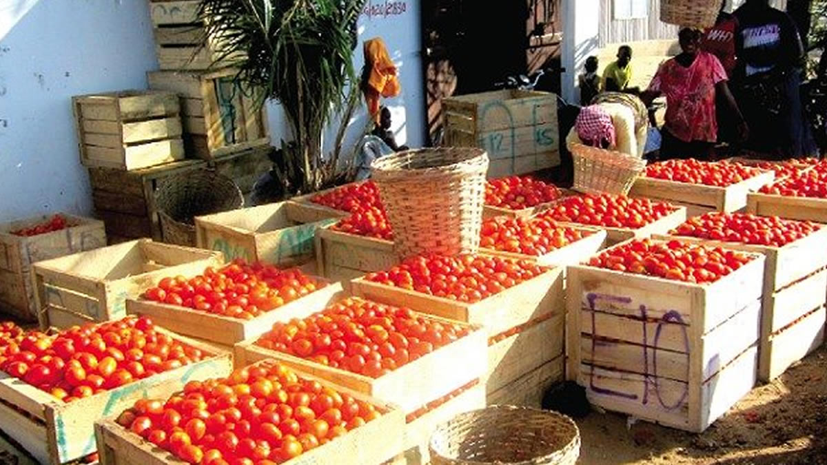 Tomato traders boycott Burkina Faso travels over security concerns