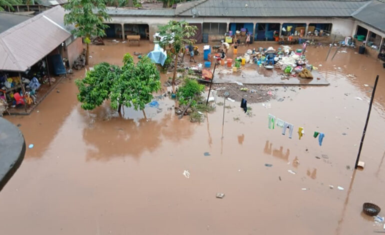 Homes submerged, properties destroyed after 10-hour downpour in Ada