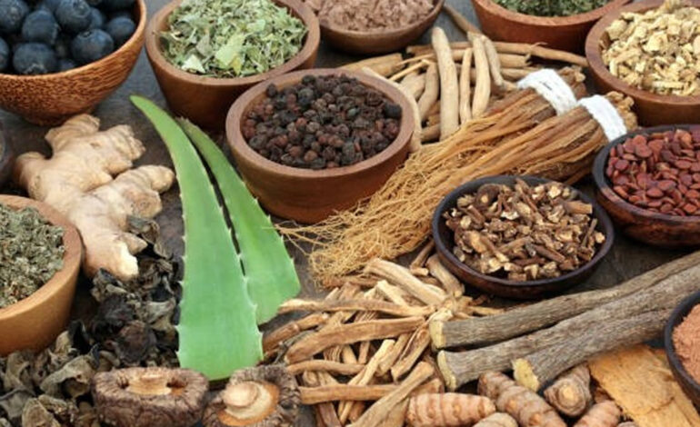 Herbal medicine not main kidney disease cause – Expert