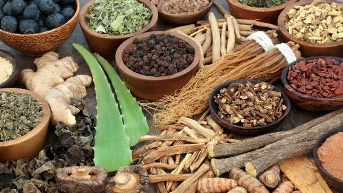 Herbal medicine not main kidney disease cause – Expert