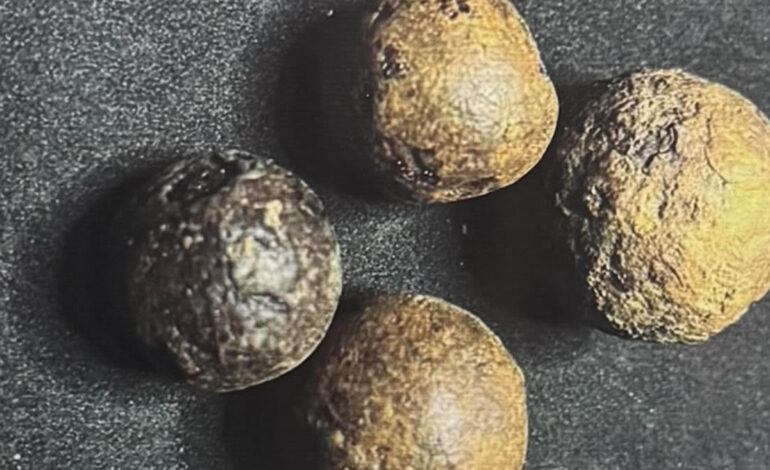 Researchers use scientific innovation, cultural heritage to discover Ghana’s first musket balls 
