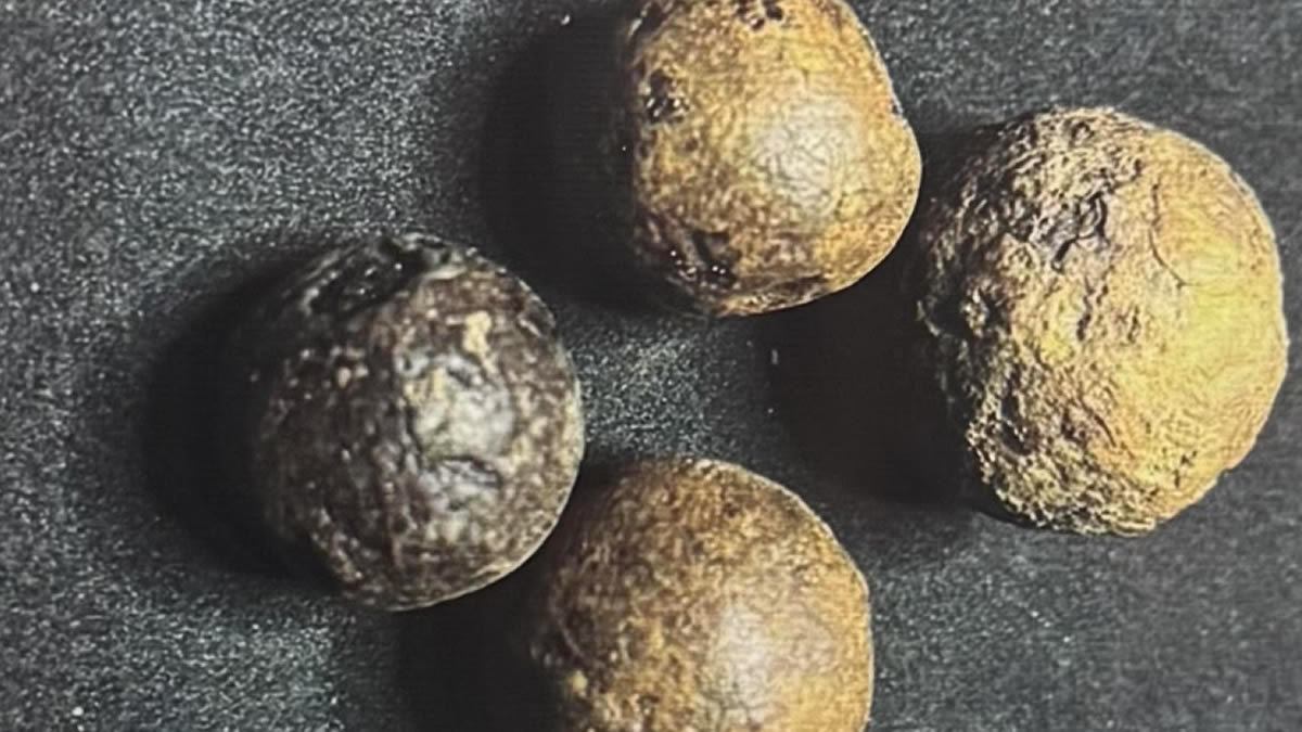 Researchers use scientific innovation, cultural heritage to discover Ghana’s first musket balls 