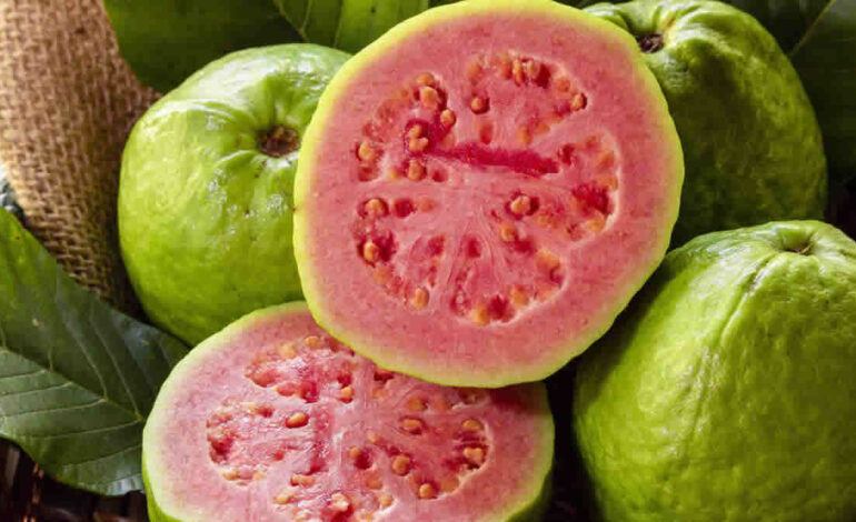 Here are 7 benefits of eating guava regularly