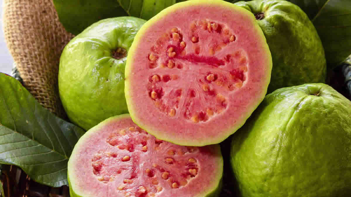 Here are 7 benefits of eating guava regularly