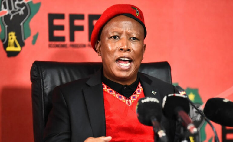 Malema jailed for five years over discharge of firearm in public