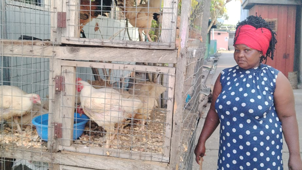 Beneficiaries of Nkoko Nketenkete programme share success stories